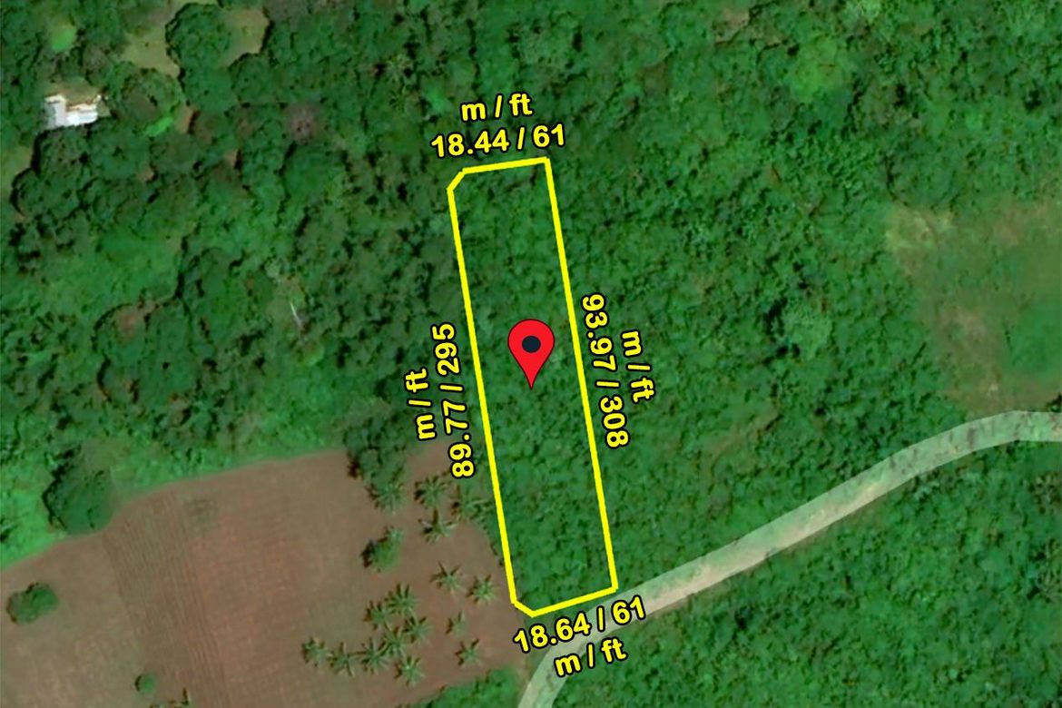Land for Sale in Barangay Ng Mga Mangingisda, Puerto Princesa, Palawan – photo 7