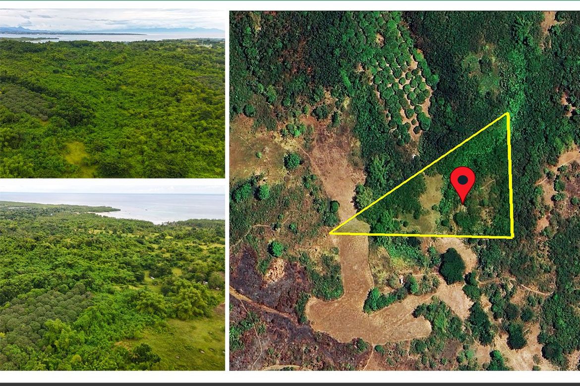 Land for Sale in Barangay Ng Mga Mangingisda, Puerto Princesa, Palawan