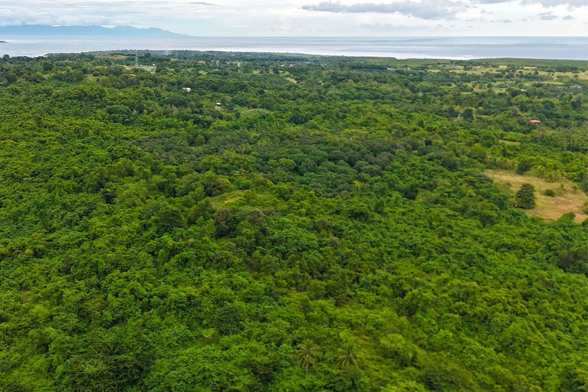 Land for Sale in Barangay Ng Mga Mangingisda, Puerto Princesa, Palawan – photo 5