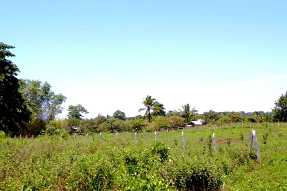Land for Sale in Barangay Ng Mga Mangingisda, Puerto Princesa, Palawan – photo 3