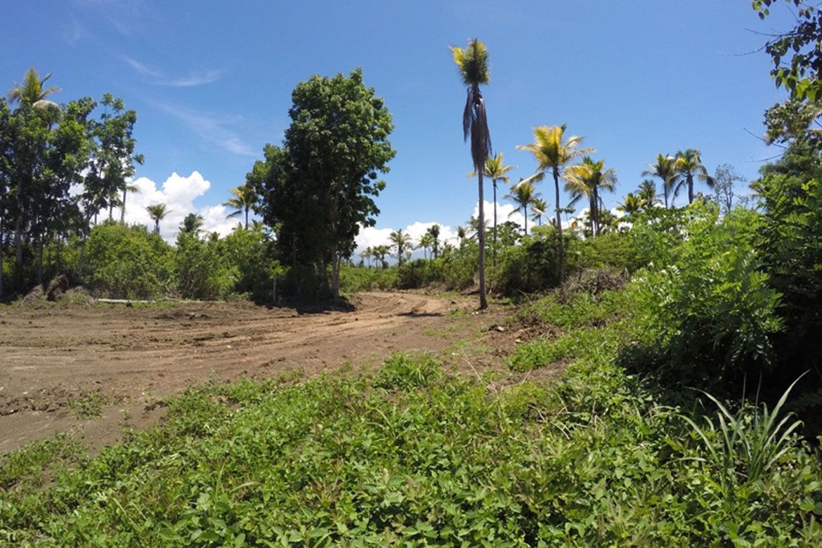 Land for Sale in Barangay Ng Mga Mangingisda, Puerto Princesa, Palawan – photo 5