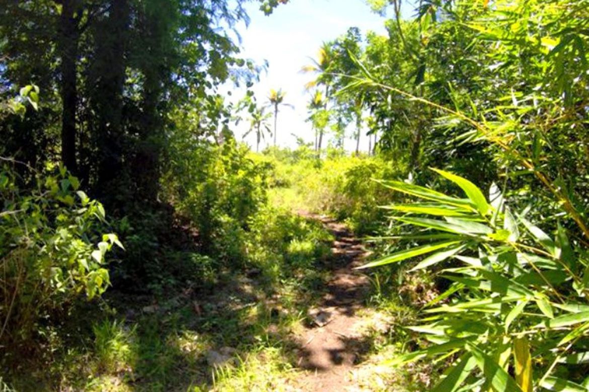 Land for Sale in Barangay Ng Mga Mangingisda, Puerto Princesa, Palawan – photo 8