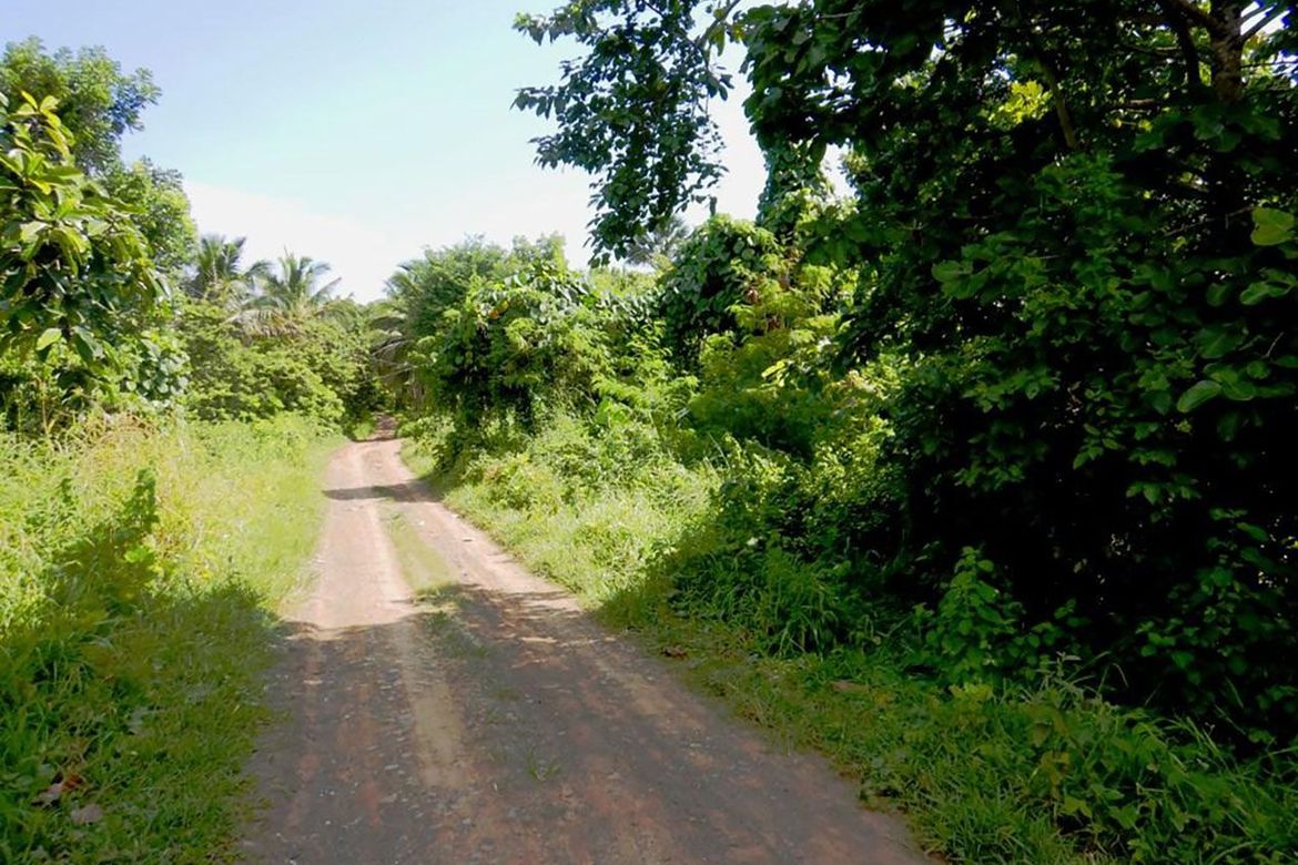 Land for Sale in Barangay Ng Mga Mangingisda, Puerto Princesa, Palawan – photo 5