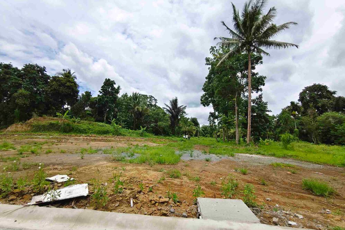 Land for Sale in Barangay V, Alfonso, Cavite – photo 2
