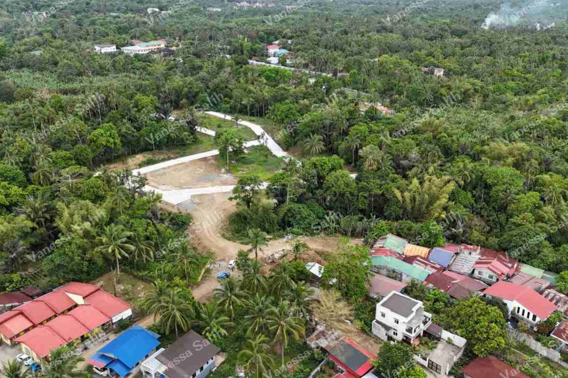 Land for Sale in Barangay V, Alfonso, Cavite – photo 4
