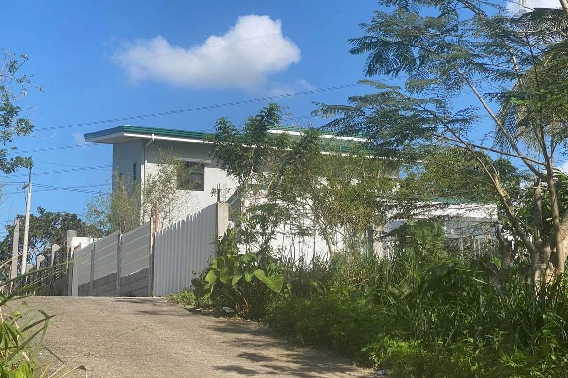 Land for Sale in Barangay V, Amadeo, Cavite – photo 4