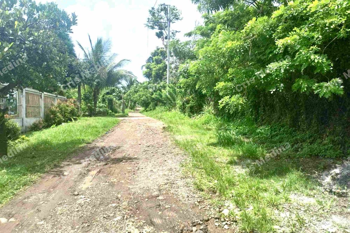 Land for Sale in Barangay V, Amadeo, Cavite