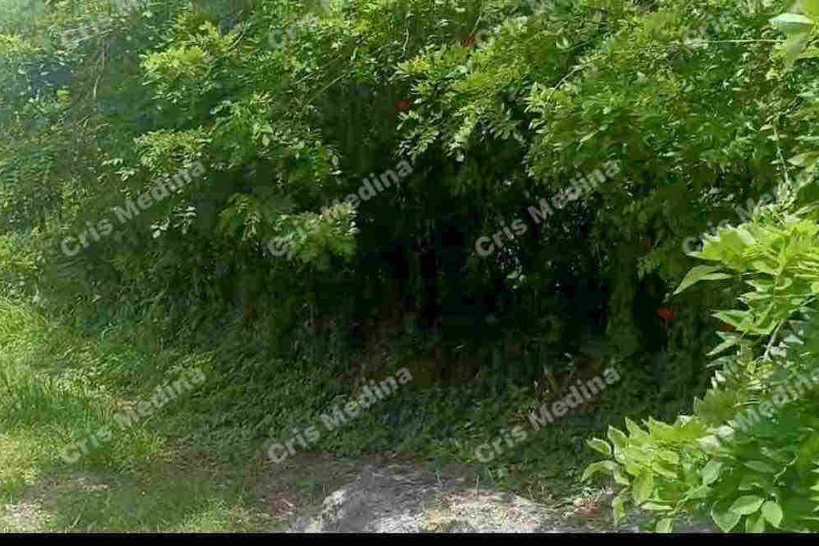Land for Sale in Barangay V, Amadeo, Cavite – photo 3