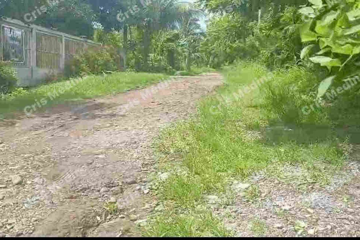 Land for Sale in Barangay V, Amadeo, Cavite – photo 4