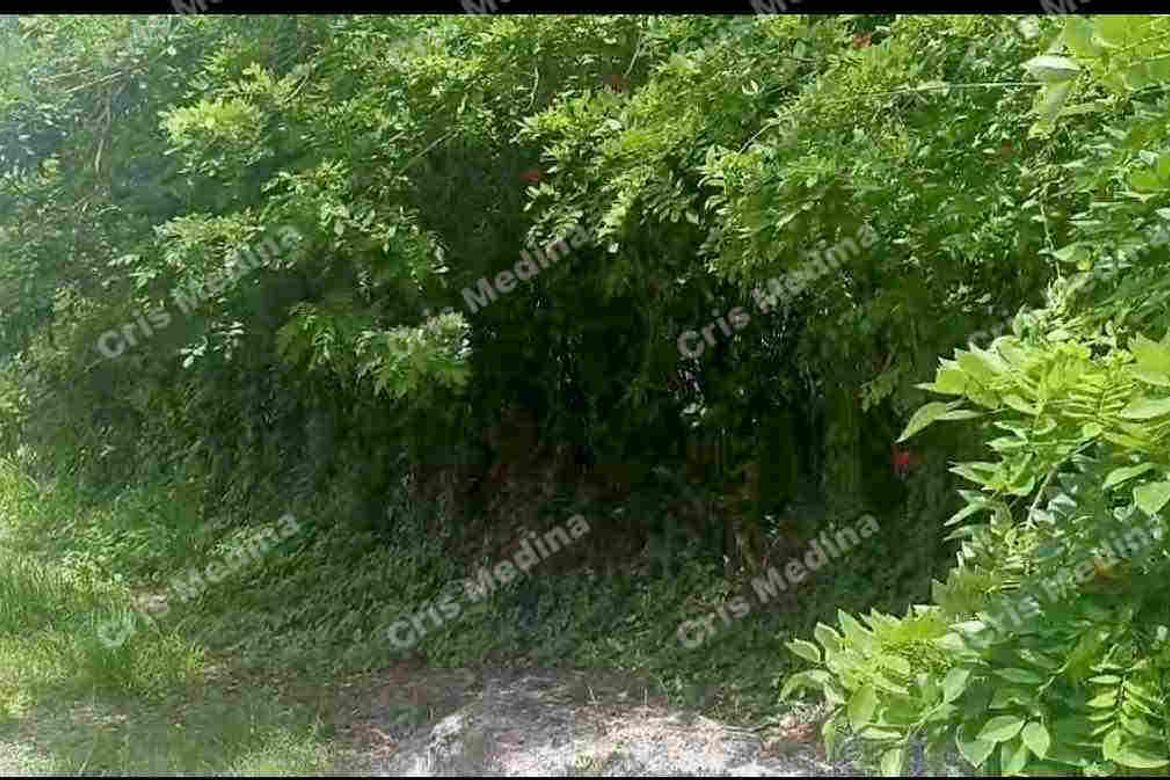 Land for Sale in Barangay V, Amadeo, Cavite – photo 7