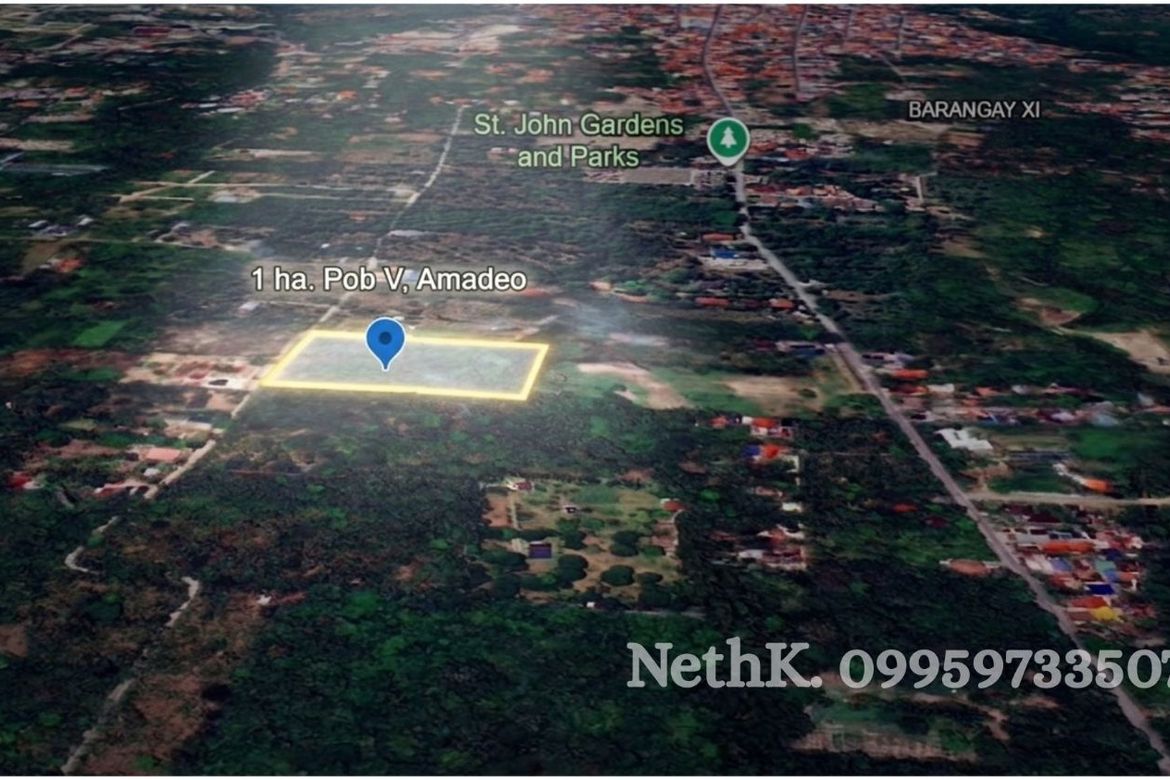 Land for Sale in Barangay V, Amadeo, Cavite