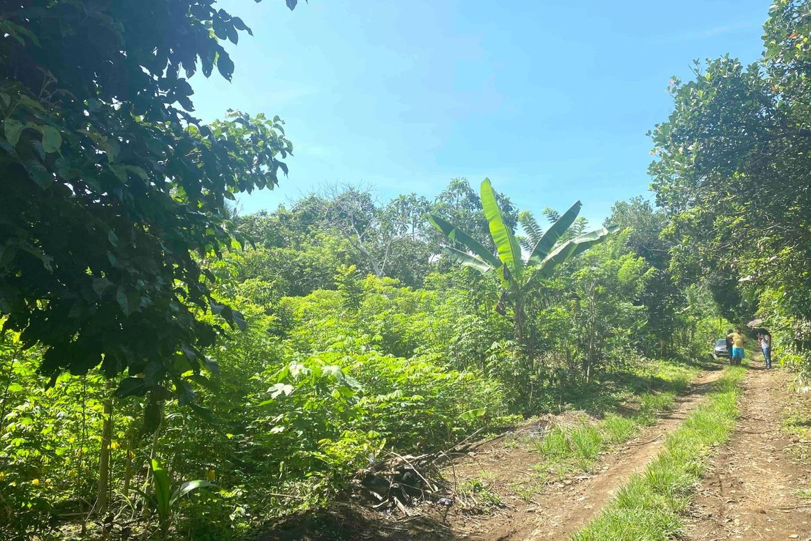 Land for Sale in Barangay XII, Amadeo, Cavite