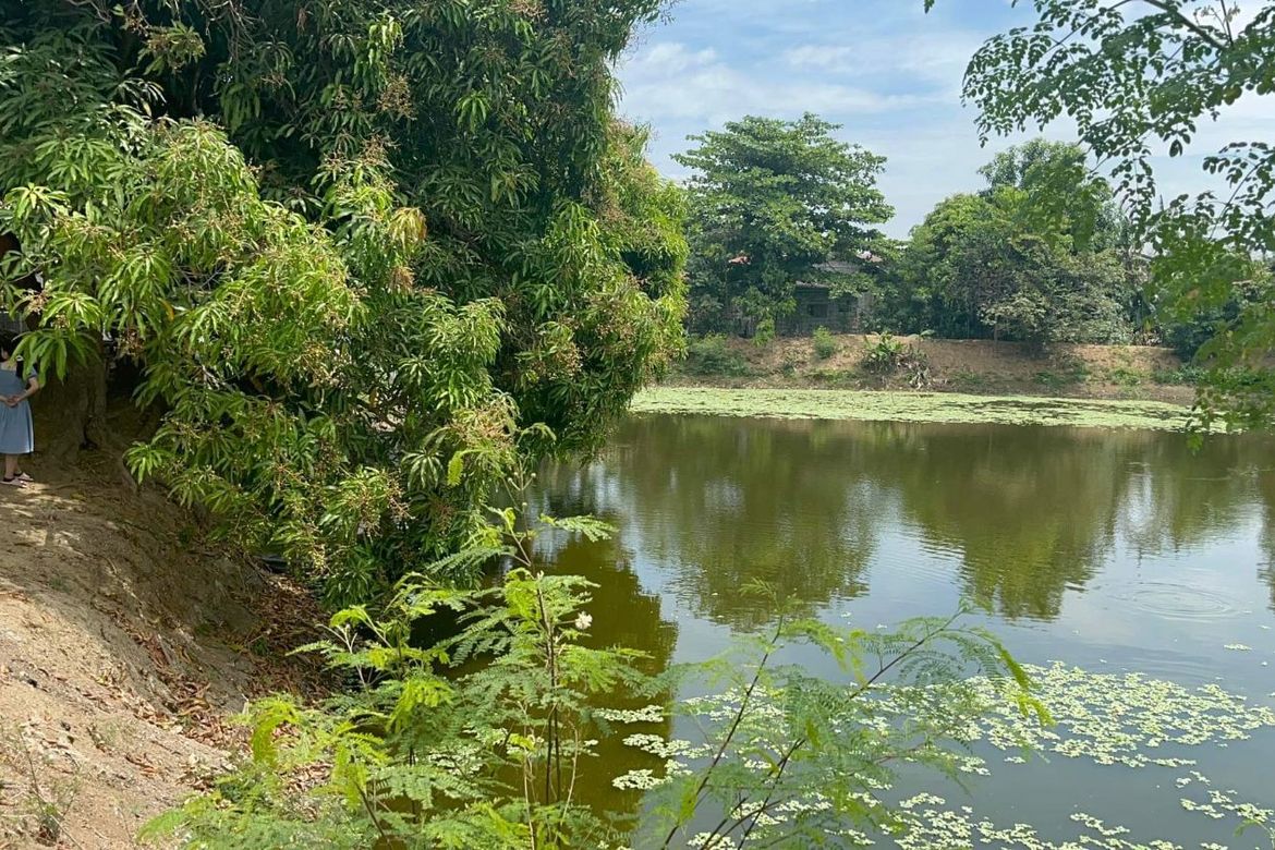 Land for Sale in Barangca, Candaba, Pampanga – photo 5