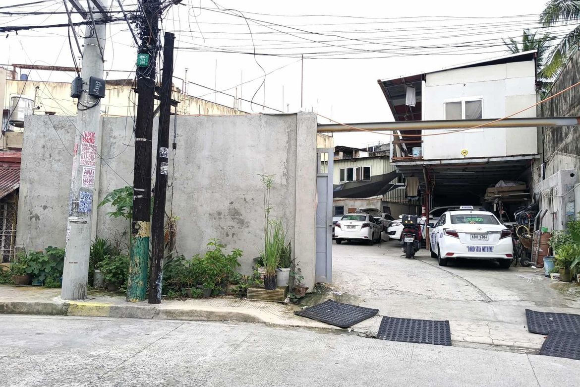 Land for Sale in Barangka Ibaba, Mandaluyong, Metro Manila near MRT-3 Guadalupe – photo 3