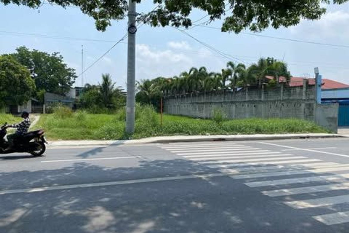 Land for Sale in Baras-Baras, Tarlac, Tarlac – photo 3