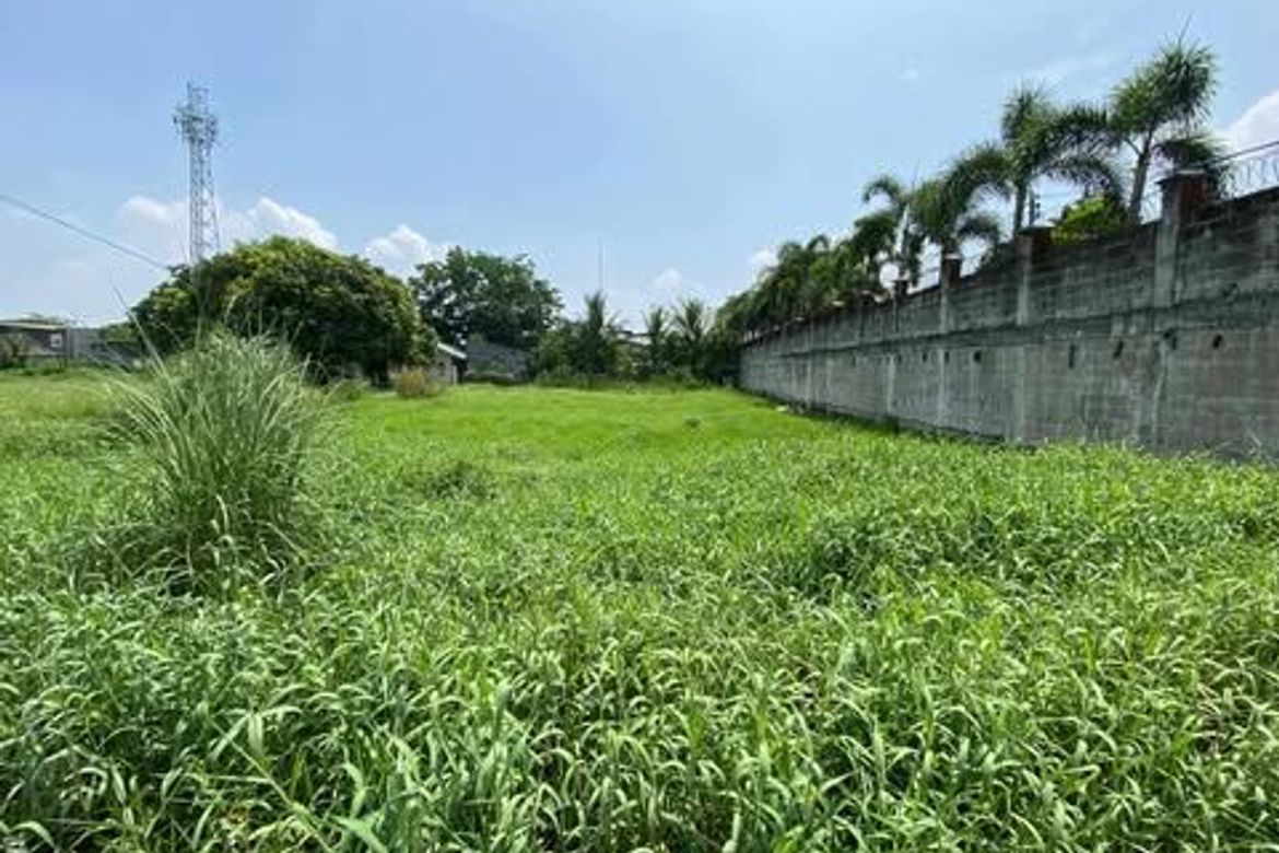 Land for Sale in Baras-Baras, Tarlac, Tarlac – photo 4