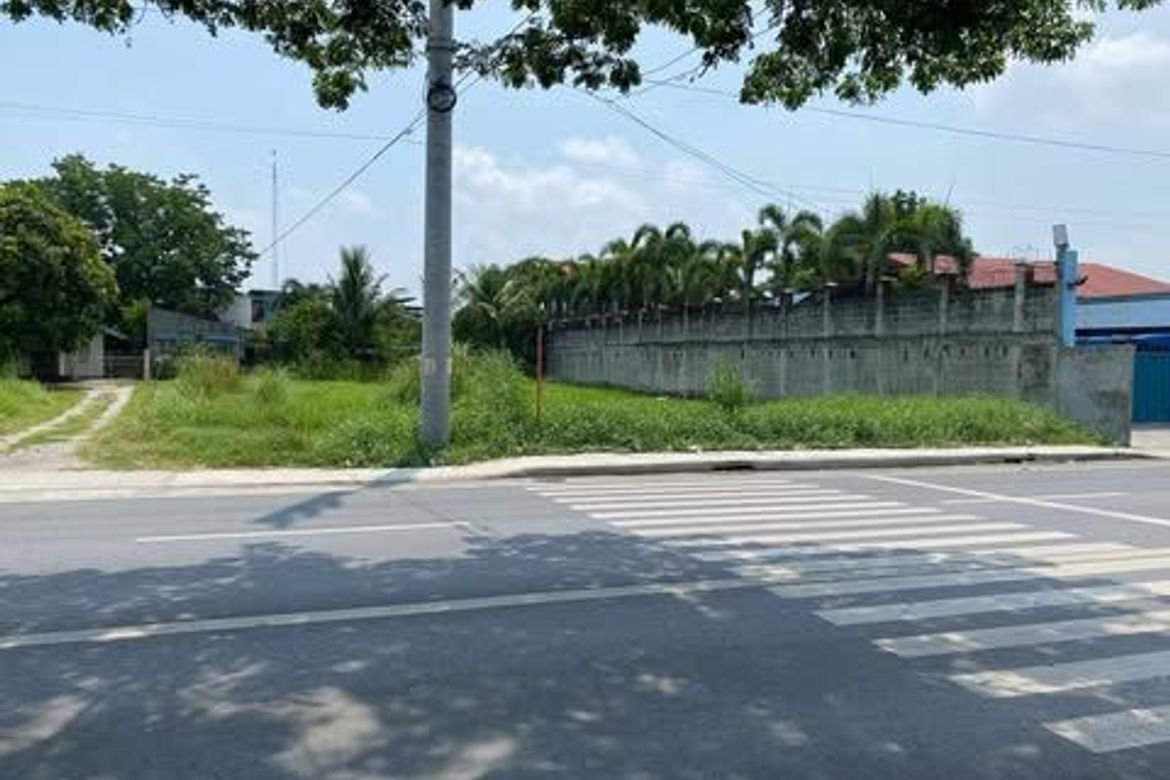 Land for Sale in Baras-Baras, Tarlac, Tarlac – photo 6