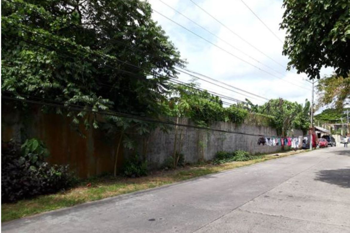 Land for Sale in Baras, Canaman, Camarines Sur – photo 2