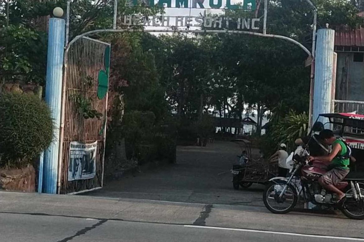 Land for Sale in Baras, Guimbal, Iloilo – photo 2