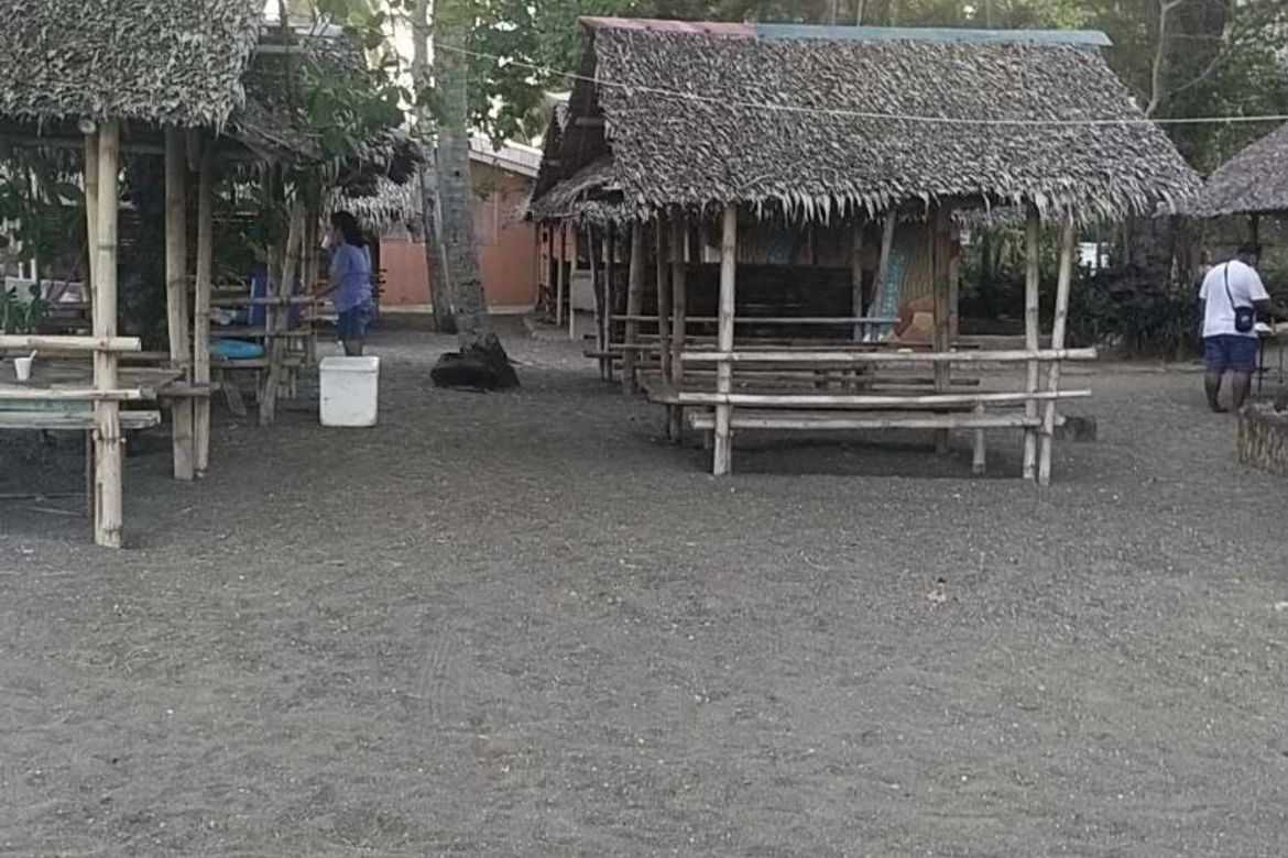 Land for Sale in Baras, Guimbal, Iloilo – photo 6