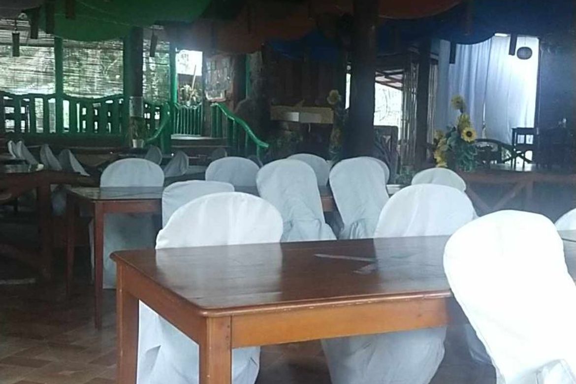 Land for Sale in Baras, Guimbal, Iloilo – photo 8