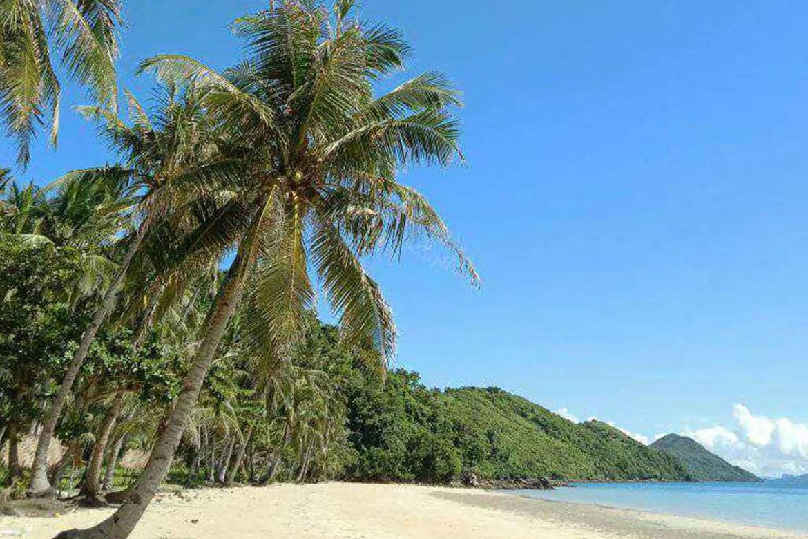 Land for Sale in Baras, Taytay, Palawan – photo 4