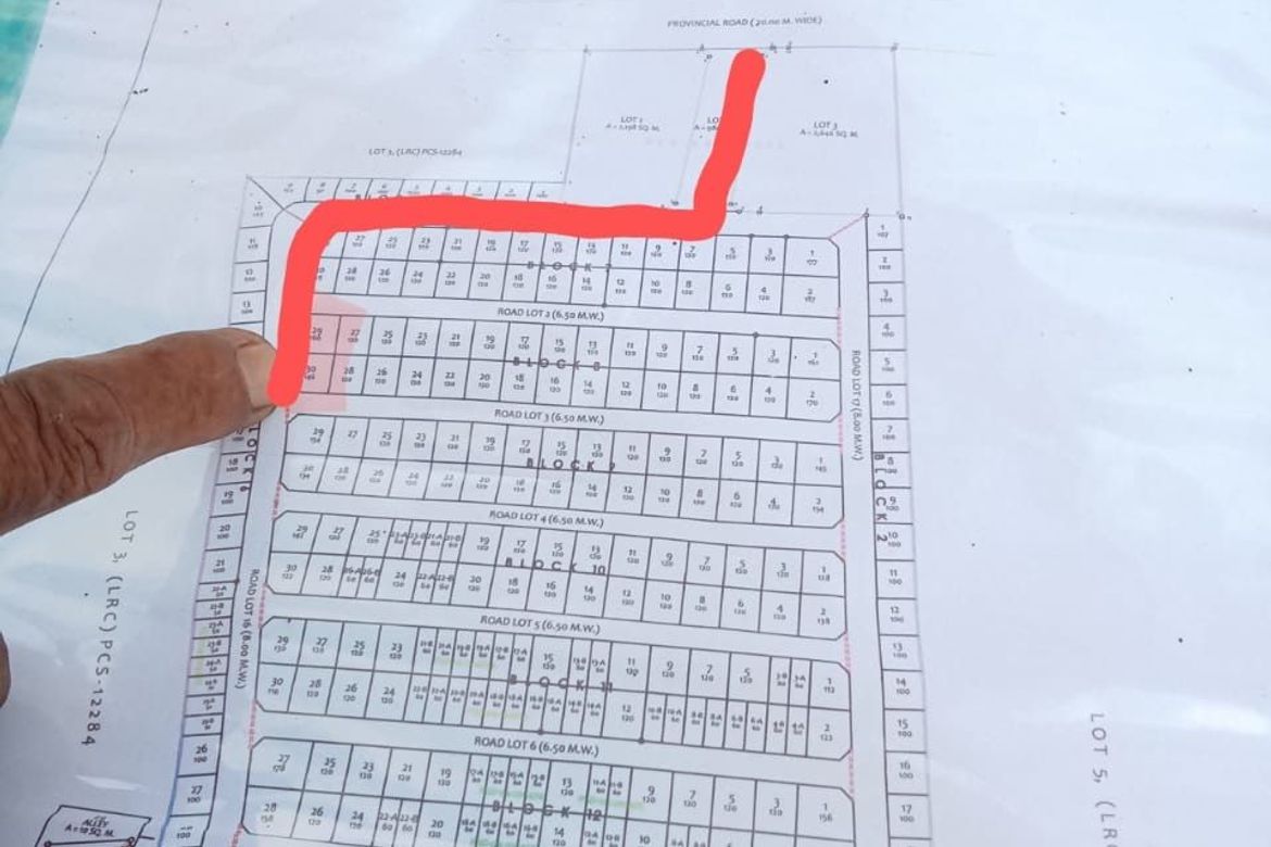 Land for Sale in Barcenaga, Naujan, Oriental Mindoro