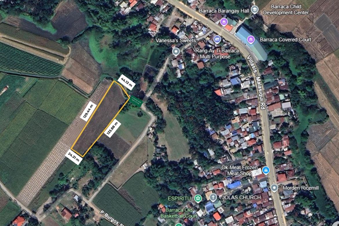 Land for Sale in Barraca, Villasis, Pangasinan