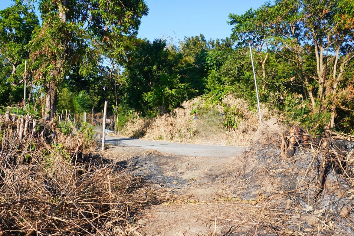 Land for Sale in Barraca, Villasis, Pangasinan – photo 6