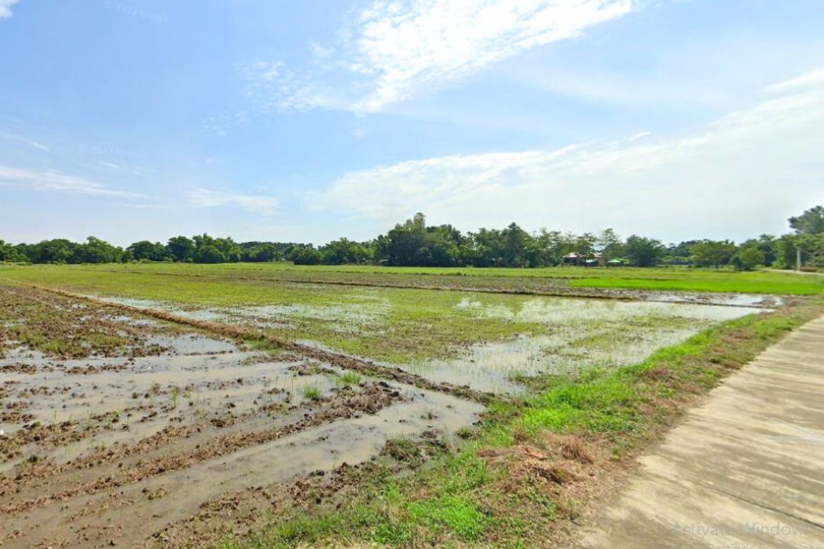 Land for Sale in Barraca, Villasis, Pangasinan – photo 3