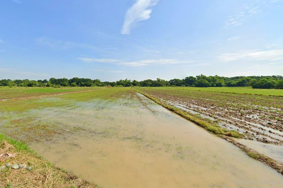 Land for Sale in Barraca, Villasis, Pangasinan – photo 4