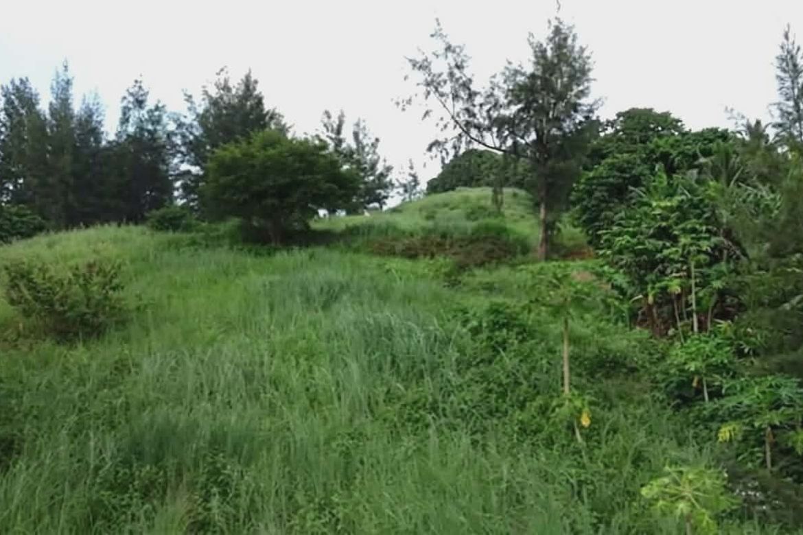 Land for Sale in Barreto, Olongapo, Zambales – photo 5