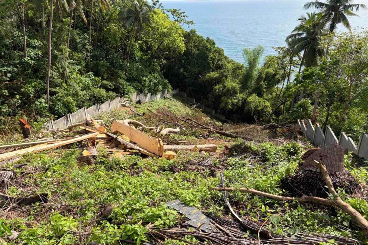 Land for Sale in Barualte, San Juan, Batangas – photo 3