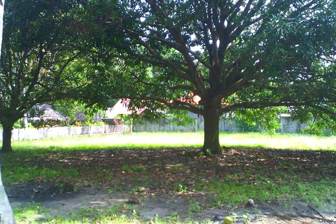 Land for Sale in Basac, Zamboanguita, Negros Oriental