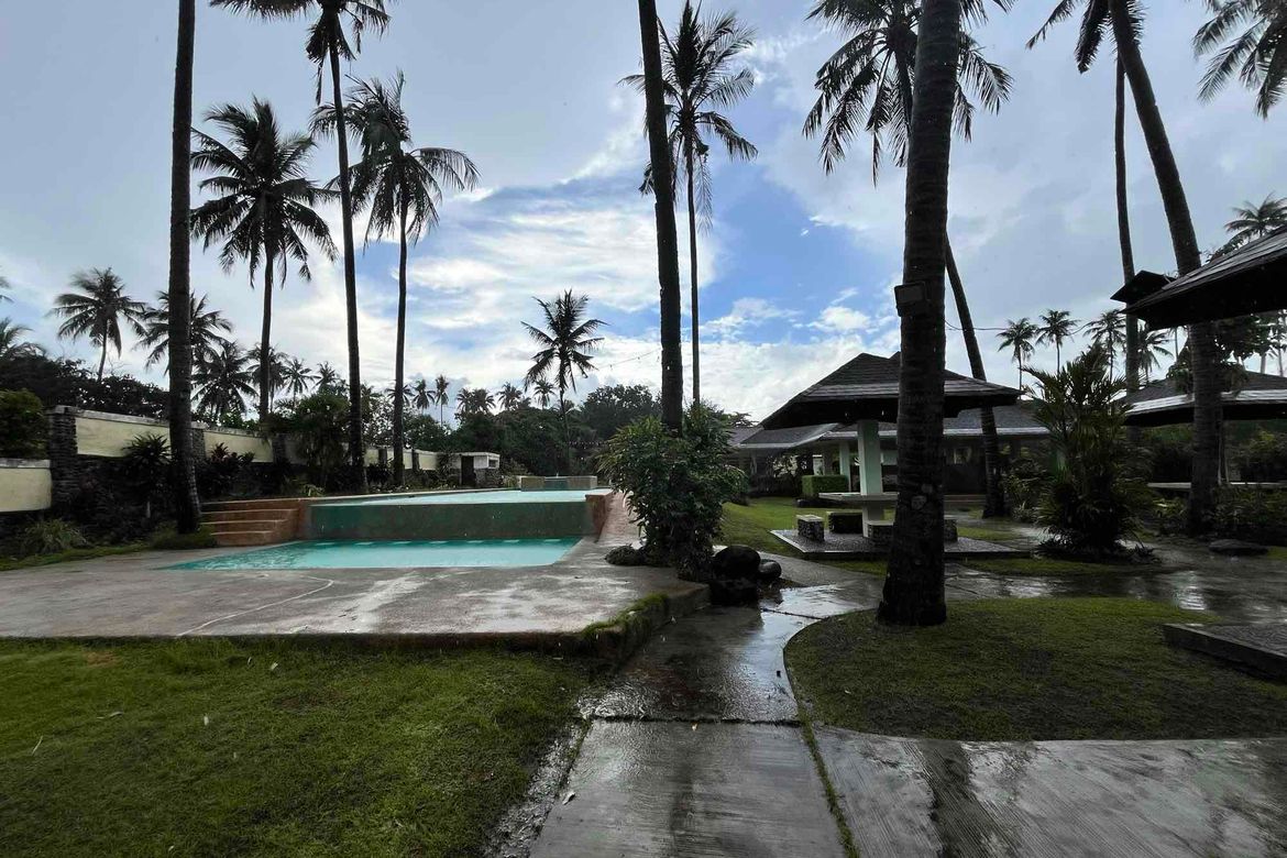 Land for Sale in Basac, Zamboanguita, Negros Oriental – photo 5