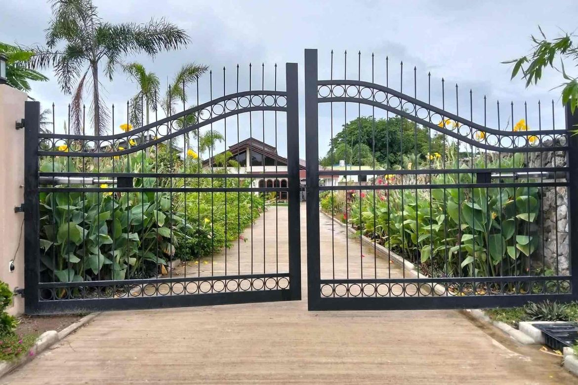 Land for Sale in Basac, Zamboanguita, Negros Oriental – photo 4