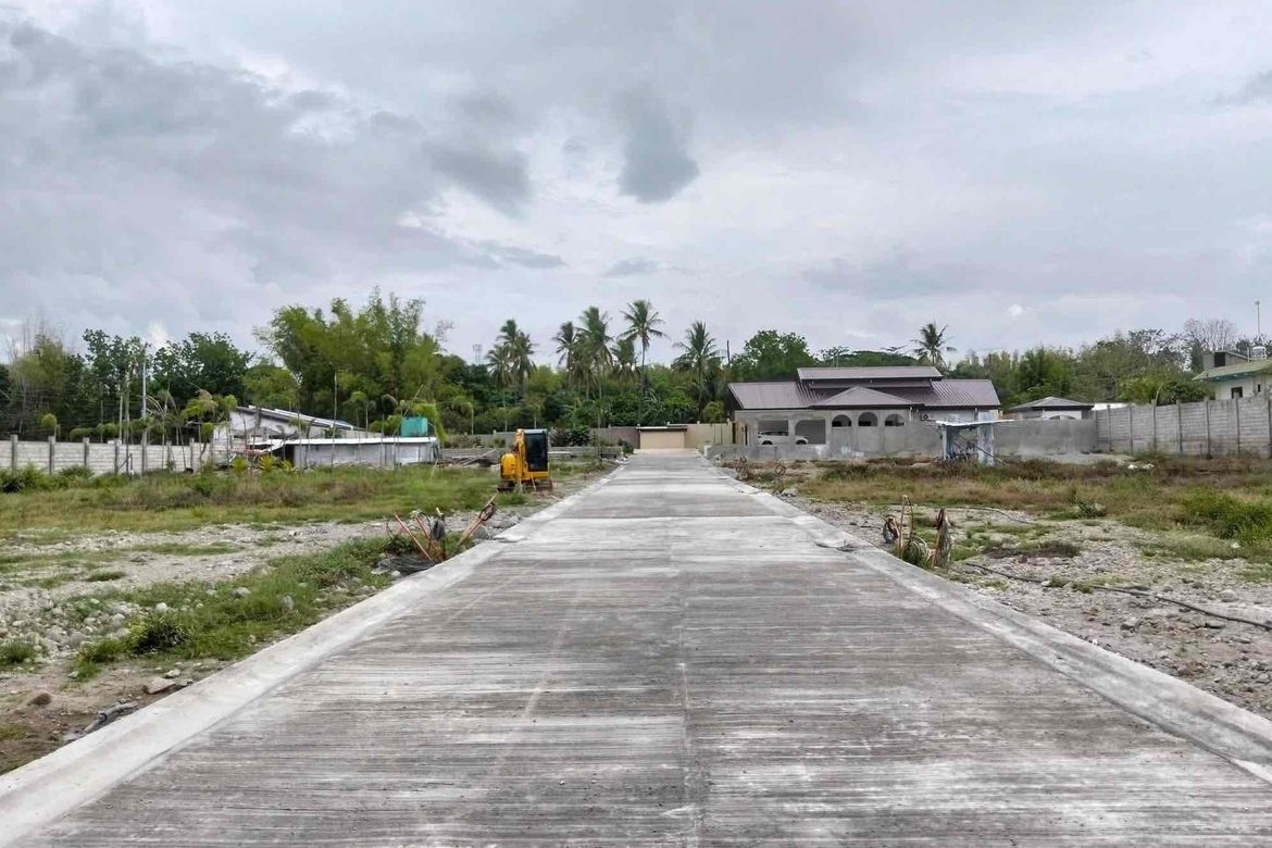 Land for Sale in Basac, Zamboanguita, Negros Oriental – photo 6
