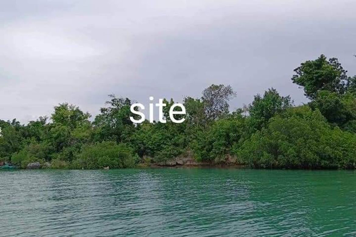 Land for Sale in Basak, Badian, Cebu – photo 3