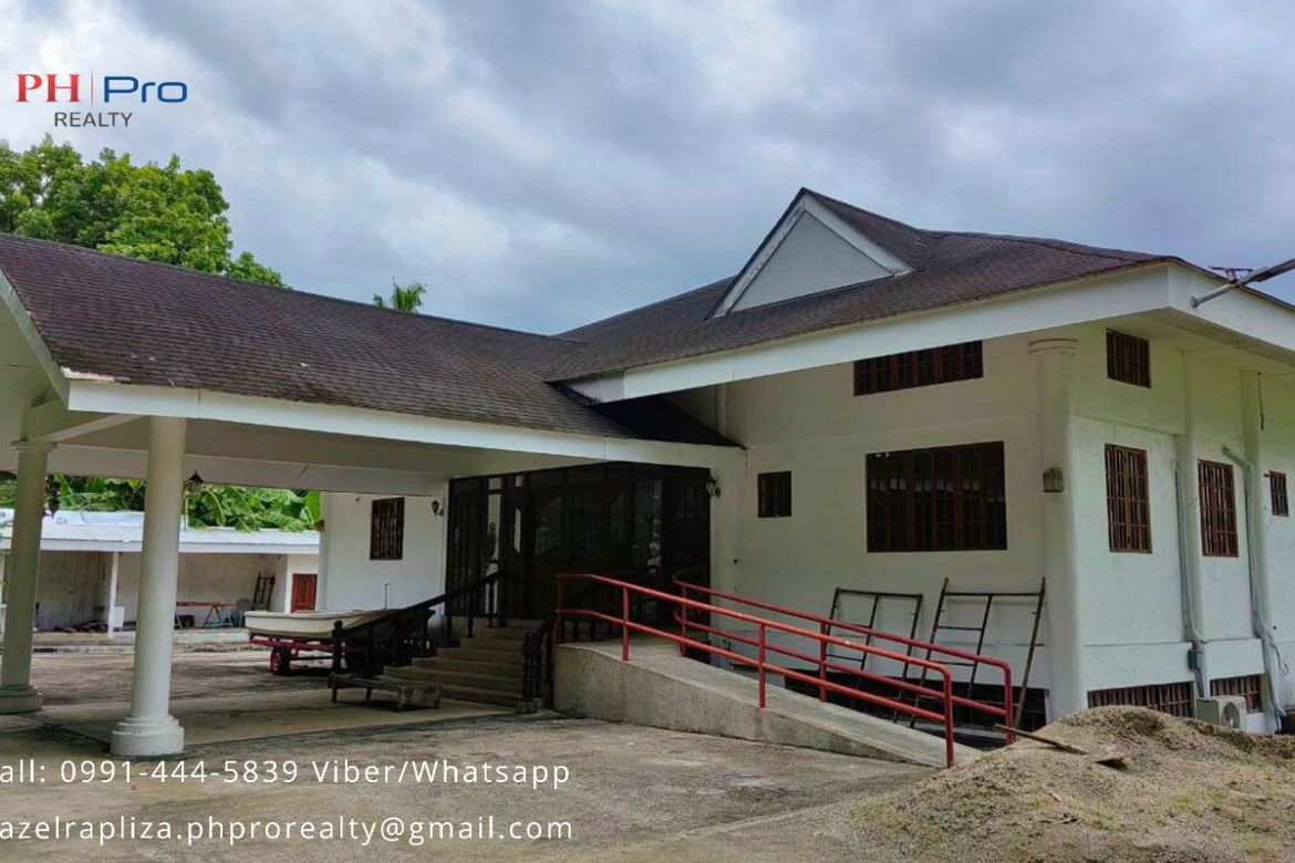 Land for Sale in Basak, Badian, Cebu – photo 2