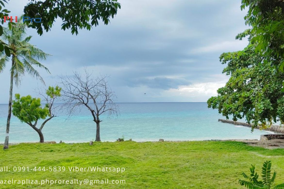 Land for Sale in Basak, Badian, Cebu – photo 4