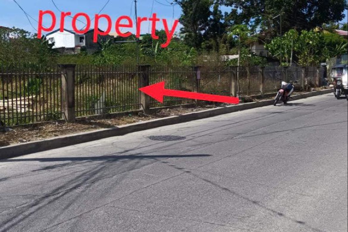 Land for Sale in Basak, Lapu-Lapu, Cebu – photo 2