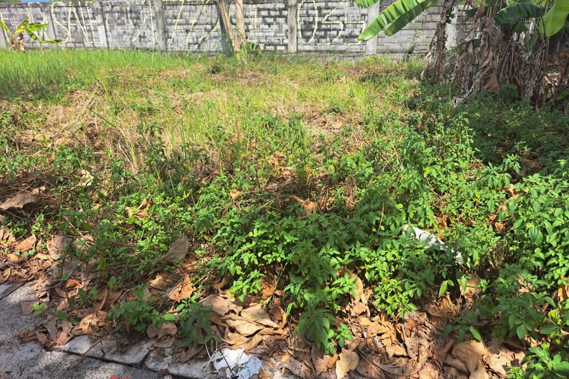Land for Sale in Basak, Lapu-Lapu, Cebu – photo 4