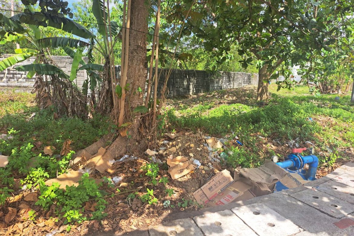 Land for Sale in Basak, Lapu-Lapu, Cebu – photo 7