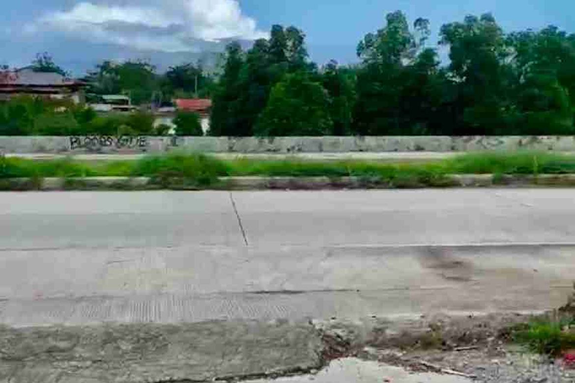 Land for Sale in Basak, Lapu-Lapu, Cebu – photo 8