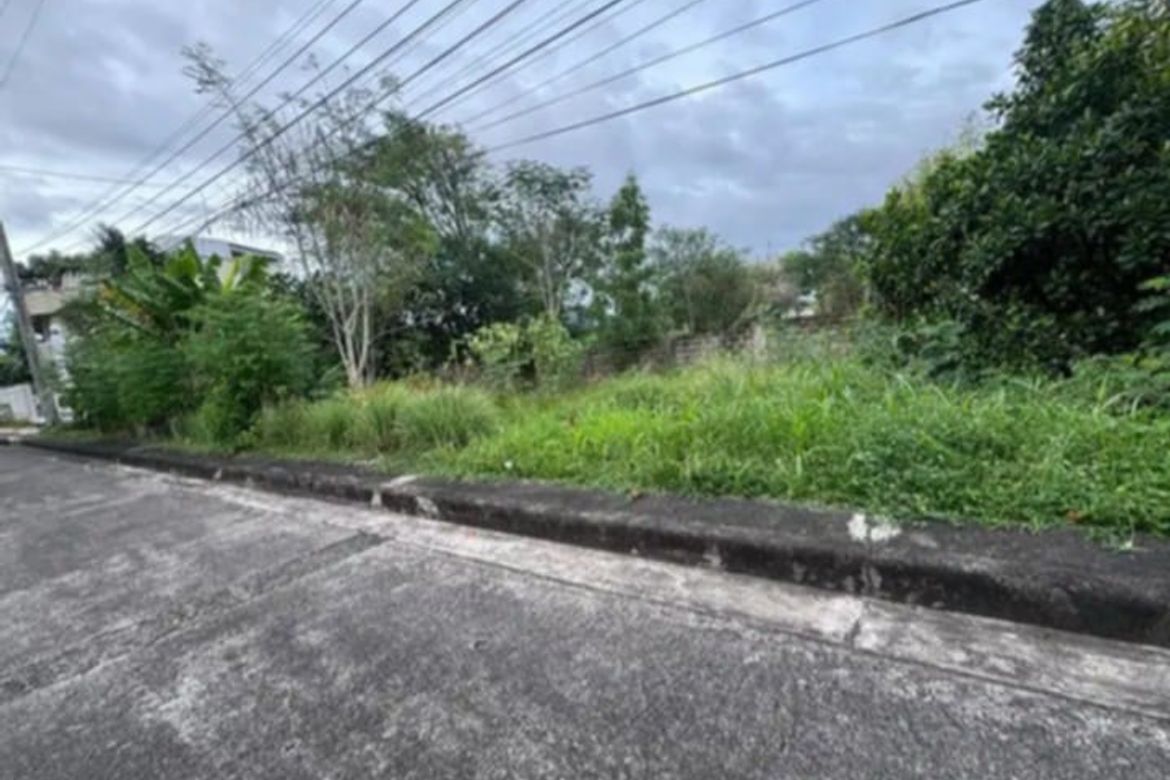 Land for Sale in Basak, Lapu-Lapu, Cebu – photo 2