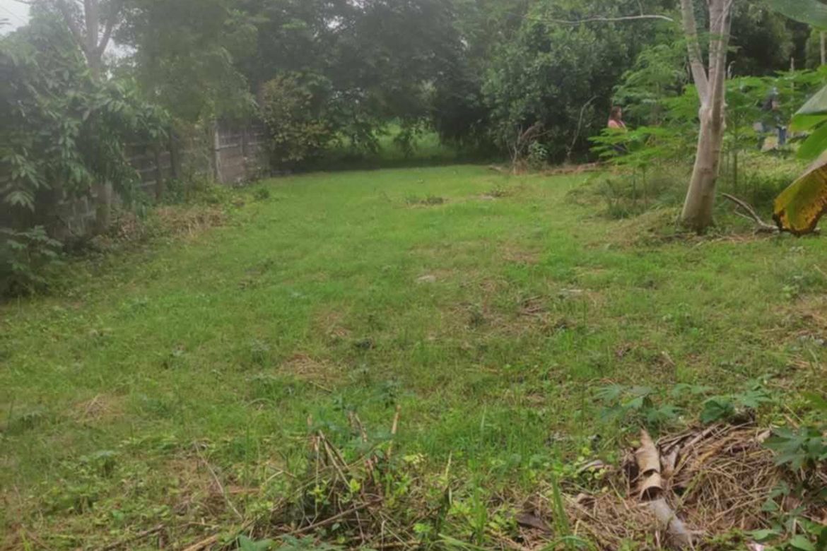 Land for Sale in Basak, Lapu-Lapu, Cebu – photo 6
