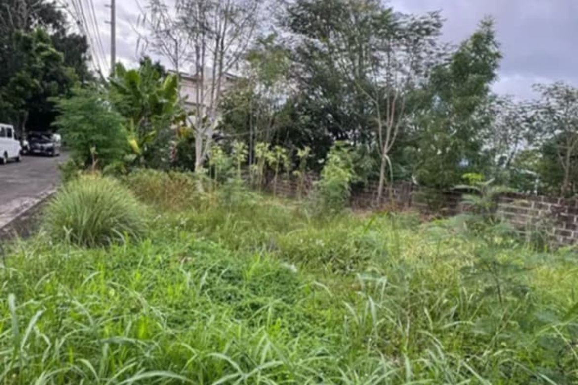 Land for Sale in Basak, Lapu-Lapu, Cebu – photo 7