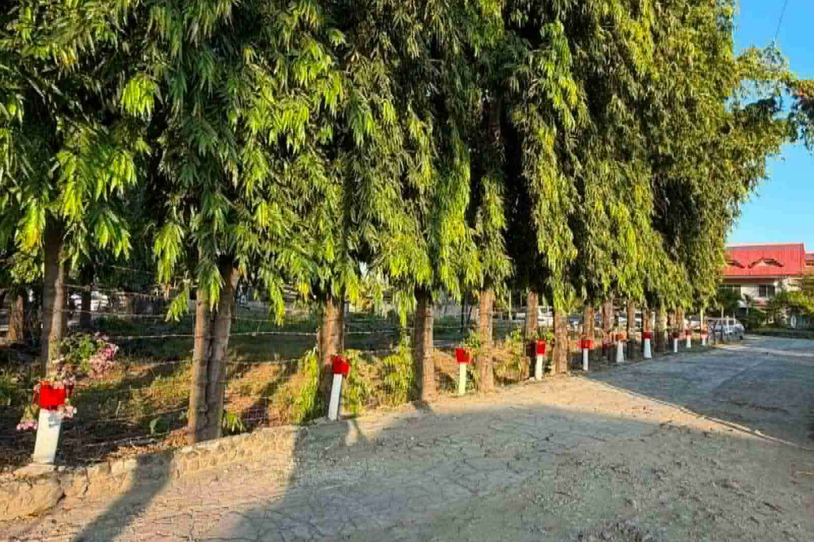 Land for Sale in Basak Pardo, Cebu City, Cebu – photo 2