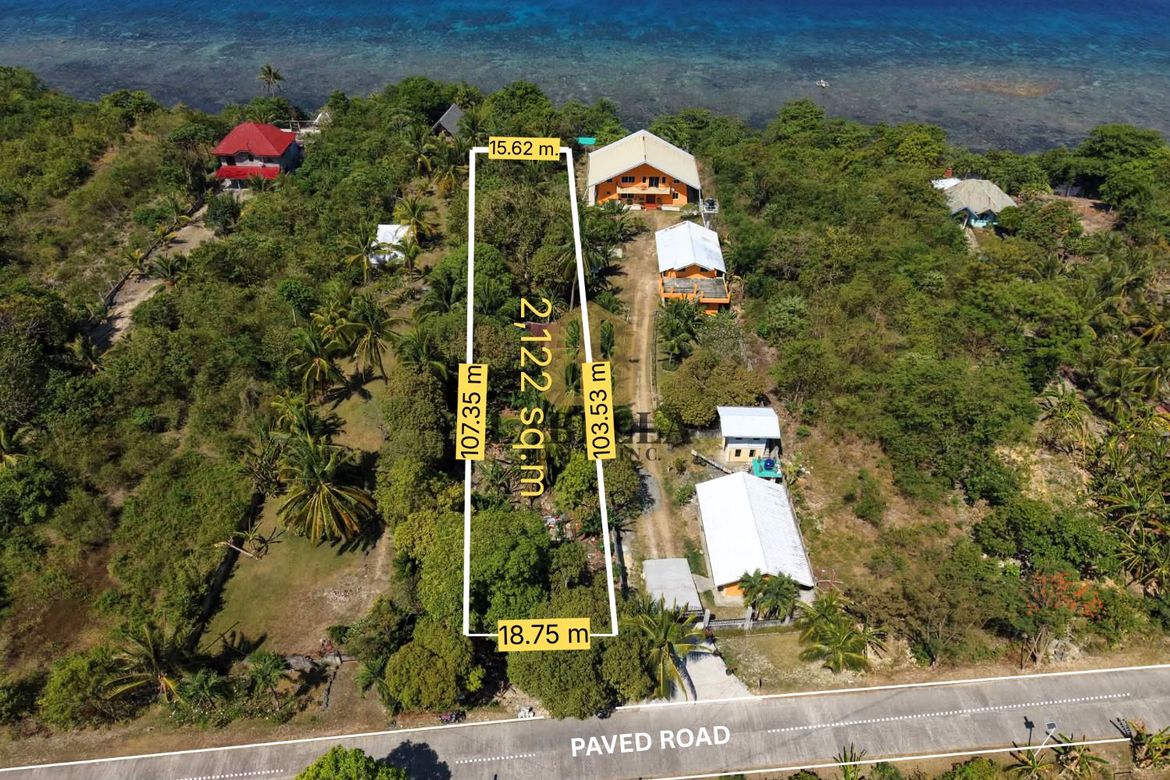 Land for Sale in Basdio, Loon, Bohol – photo 2