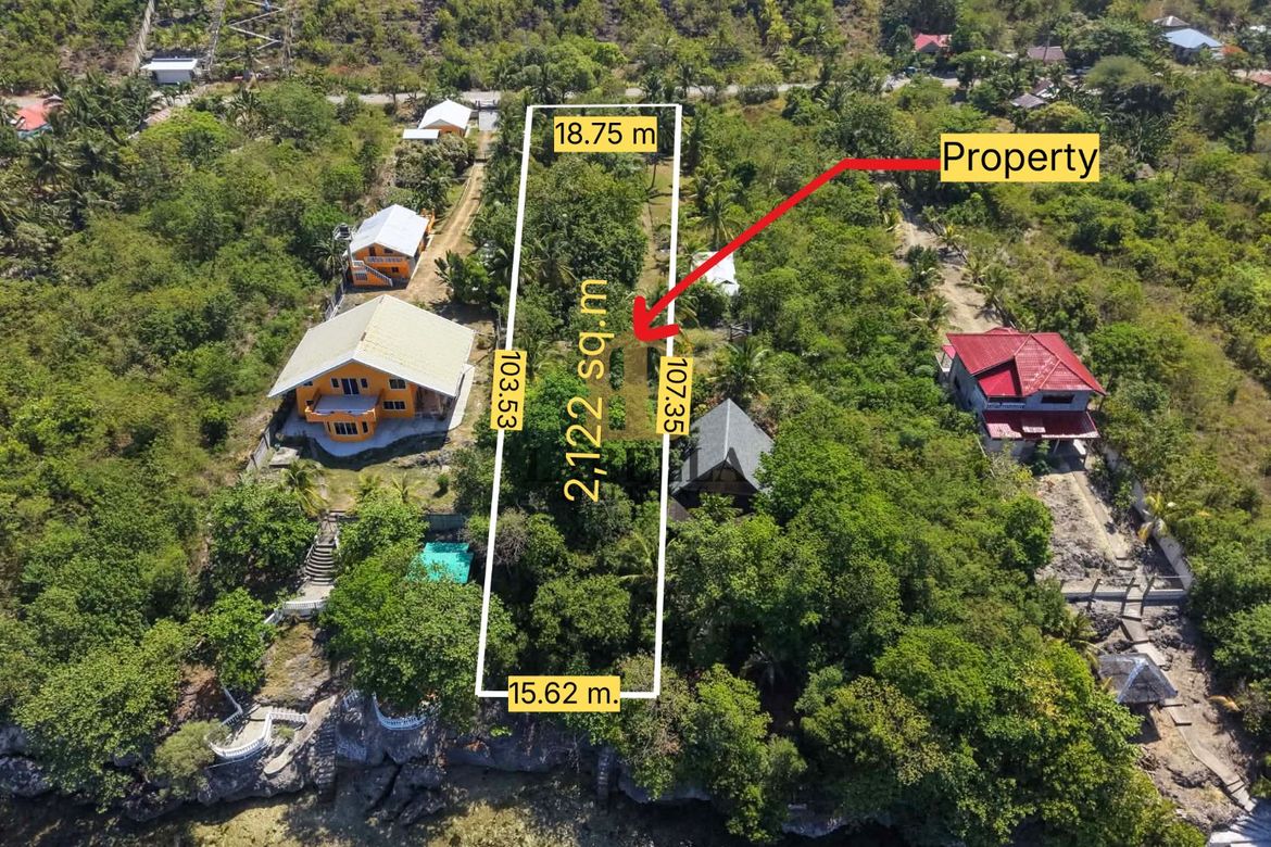 Land for Sale in Basdio, Loon, Bohol – photo 5